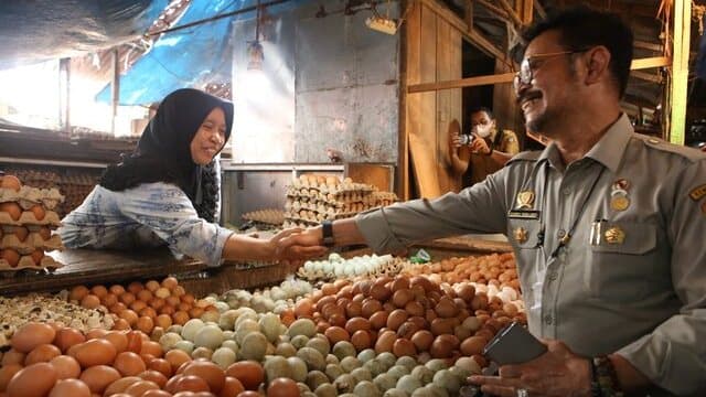 Pasca Idul Adha, Mentan SYL Sidak Stok dan Harga Pangan di Pasar Kota Makassar