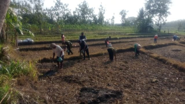 Kementan Genjot Pemberdayaan Petani Gunung Kidul untuk Siapkan Benih Kedelai Bermutu
