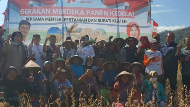 Kementan Lakukan Gerakan Merdeka Panen Kedelai, Capai 3,4 Ton Per Hektar di Klaten