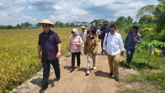 Rektor IPB Siap Berkolaborasi Dorong Kemajuan Food Estate Kalteng