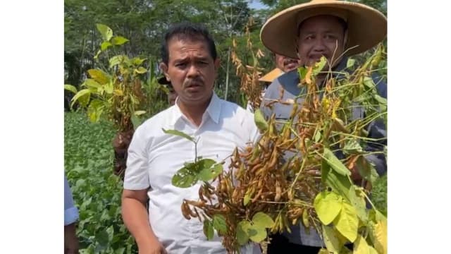 Kementan Bangkitkan Kedelai Nasional Melalui Kepastian Harga dan Pasar