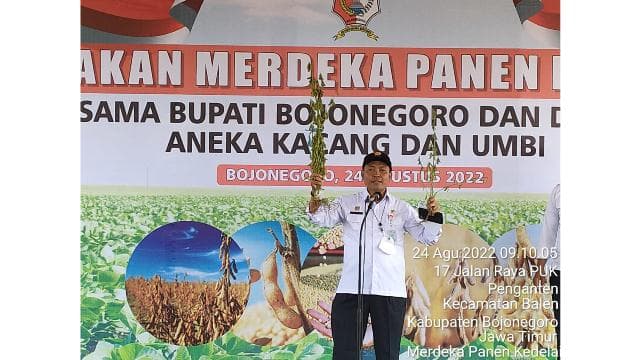 Kementan Laksanakan Gerakan Merdeka Panen Kedelai, Produktivitas 1,9 Ton Per Hektar di Bojonegoro