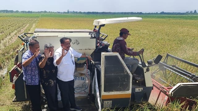 Kementan Dorong Peningkatan IP Dengan Benih Padi Super Genjah Di Kecamatan Jekulo, Kabupaten Kudus