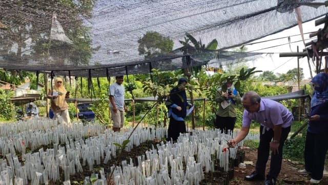 Dukung Kampung Buah, Kementan Percayakan Produksi 44 Ribu Benih Alpukat dari Produsen Benih Milenial