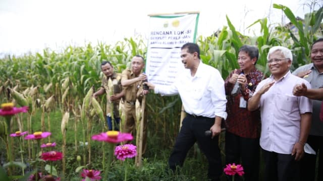 Panen Jagung di Bantul, Petani Siap Aplikasikan Bahan Alami