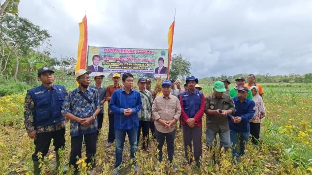 Panen Benih Kedelai Di Gunung Kidul, Petani Siap Menjadi Produsen Benih