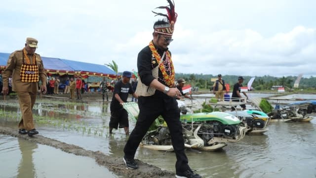Mentan SYL Gelar Tanam Padi MT II 2022 di Papua