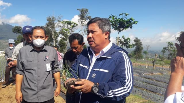 Kementan Kembangkan Teknologi Soil Block Budidaya Bawang dan Cabai di Jawa Tengah