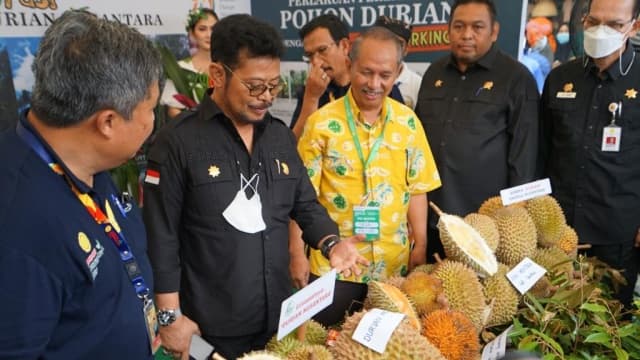 Mentan SYL Dorong Buah & Sayur Indonesia Tembus Mancanegara