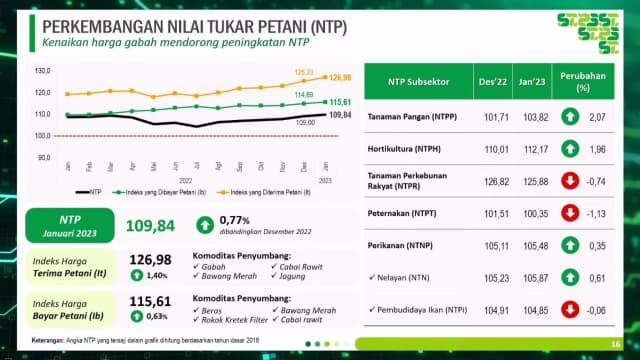 BPS: Index Kesejahteraan Petani NTP Januari 2023 Naik jadi 109,84