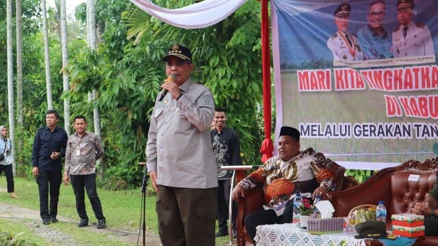 Wujudkan Akselerasi Ketahanan Pangan, Wamentan Tanam Padi dan Panen Jagung di Padang Pariaman