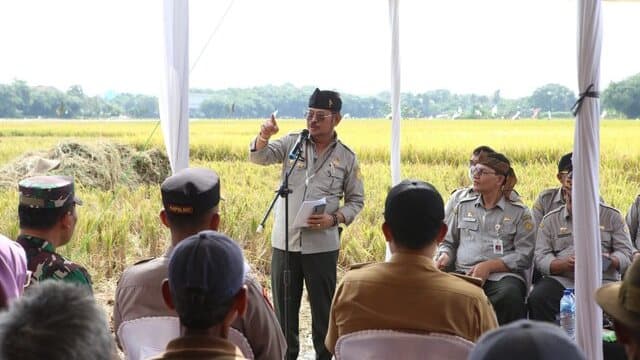 Masuk Masa Panen Raya di Sentra Produksi Beras Jawa Barat