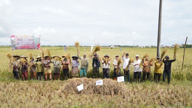 Panen Raya Nusantara Satu Juta Hektare, Kementan Apresiasi Petani Modern Serang