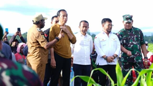 Jokowi di Papua, Kick Off Food Estate Siapkan Lahan Jagung 10 Ribu Hektare