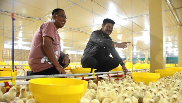 Mentan SYL Terapkan Role Model Penerapan Sistem Hulu – Hilir Ayam Broiler di Gowa