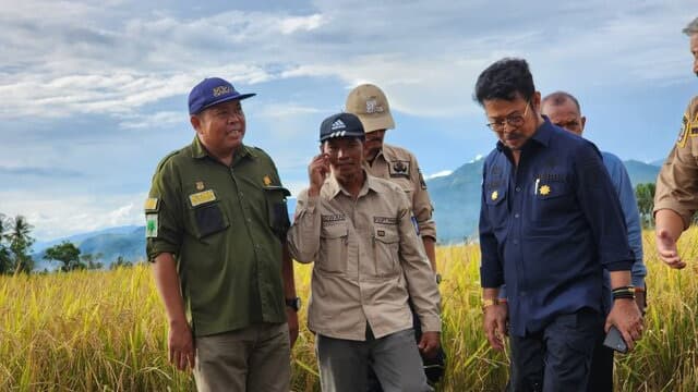 Mentan SYL : Panen Padi di Pinrang, Lampaui Target Produksi Nasional
