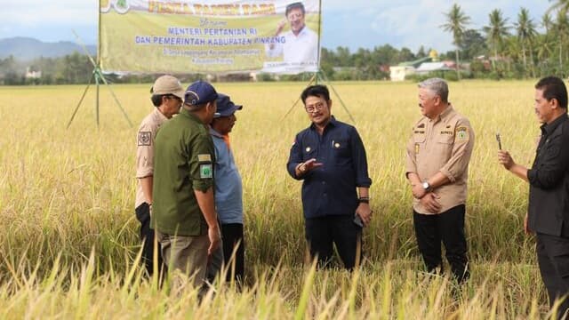 Usai Panen Raya, Mentan SYL Dorong Petani di Kabupaten Pinrang Segera Percepat Masa Tanam