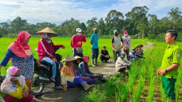 POPT : Garda Terdepan Perlindungan Tanaman di Indonesia