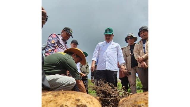 Jelang Idul Adha, Kementan Pastikan Produksi Sayuran Asal Kabupaten Solok Aman