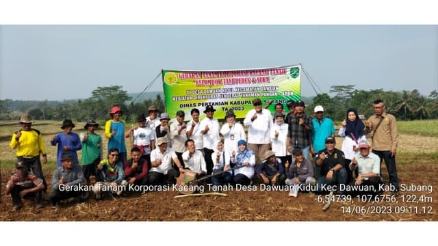 Kementan Lakukan Gerakan Tanam, Sekolah Lapang Dan Praktik Pembuatan Biosaka di Korporasi Kacang Tanah Jawa Barat