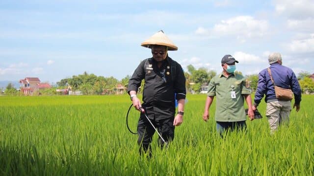 Hadapi Hama WBC, Mentan SYL Imbau Petani Di Klaten Gunakan Pengendali Hama Ramah Lingkungan