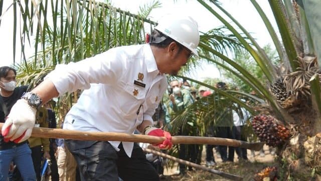Mentan SYL Dorong Provinsi Sumsel Jadi Percontohan Pengembangan Sawit Nasional