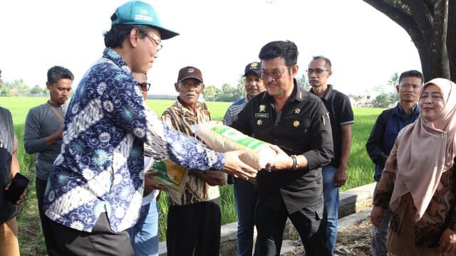 Tinjau Sawah di Cianjur, Mentan SYL Dorong Percepatan Gertam Padi 1.000 Hektar