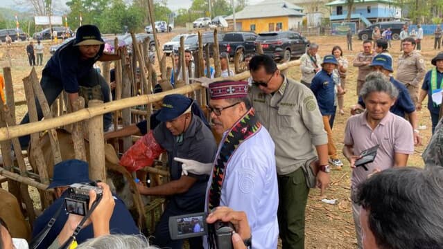 Irjen Kementan Kawal IB dan Meresmikan Irigasi Perpompaan Peternakan di Manggarai Barat