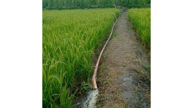 Dem DPI Cegah El Nino Melanda Lahan Pertanian di Muaro Jambi