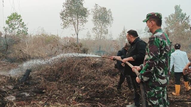Selamatkan Sawit, Kementan Terjun Padamkan Kebakaran Lahan di Kalsel