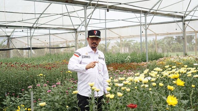 Menteri Pertanian Andi Amran Sulaiman Mendorong Pemanfaatan Teknologi Greenhouse Krisan