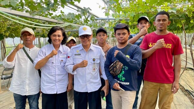 Kementan Dorong Produktivitas Anggur di Sulawesi Tengah