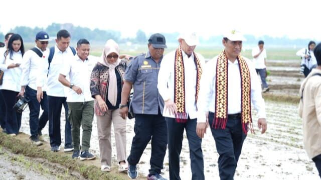 Mentan Terjun Langsung Pada Gerakan Percepatan Tanam Di Lampung