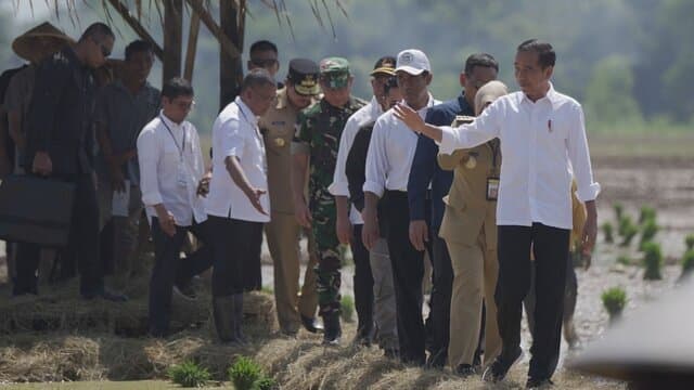 Tinjau Penanaman Padi di Pekalongan, Presiden Jokowi : Kita Kejar Tanam, Tanam, Tanam