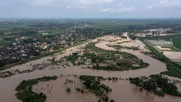 Kementan Mitigasi Bencana Banjir di Lahan Pertanian Grobogan