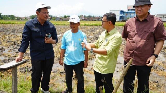 Kementan Pastikan Produksi Beras Nasional Tetap Aman