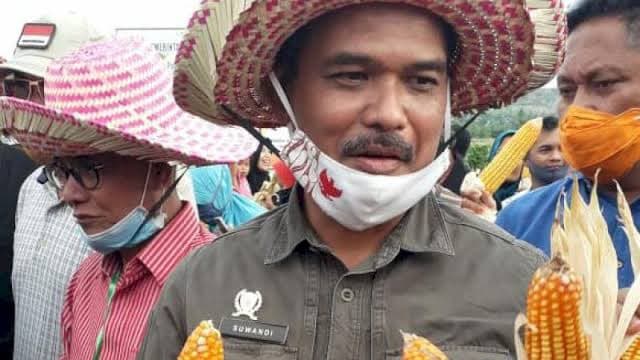 Stop Impor Jagung, Kementan Minta Bulog dan GPMT Serap Panen Petani