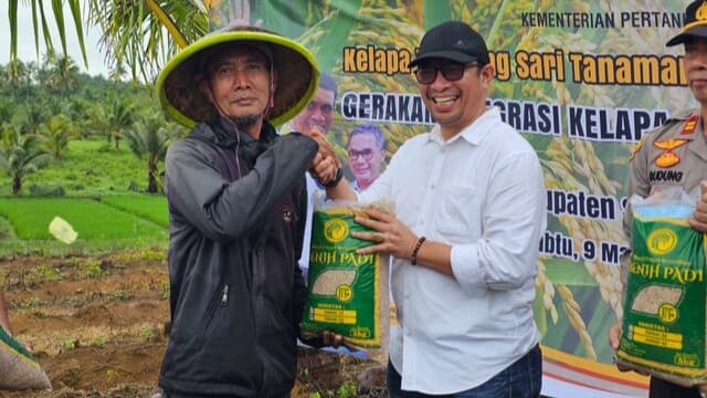 Pacu Produksi Beras, Kementan Tanam Padi Gogo Integrasi Kelapa di Sukabumi