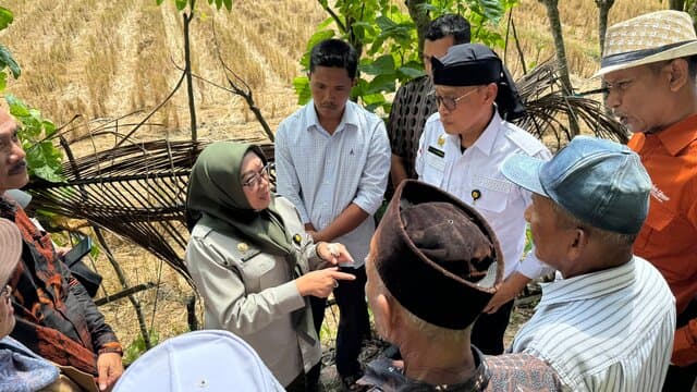 Kementan Mendorong Percepatan Tanam dan Pompanisasi di Kabupaten Pidie, Aceh