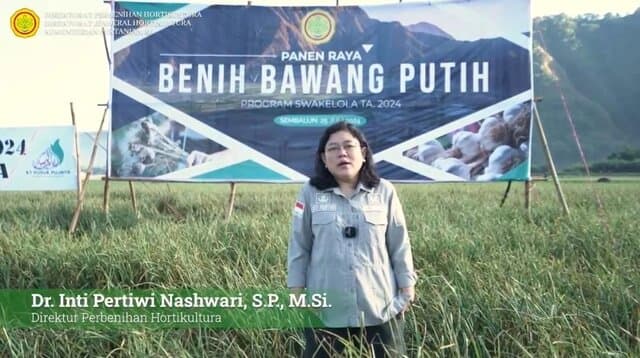 Swasembada Bawang Putih Indonesia Di Depan Mata: Panen Raya Awalnya