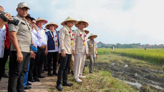 Panen Padi Meningkat di Bangkalan, Mentan dan Wamendagri Optimis Capai Swasembada Pangan Secepatnya