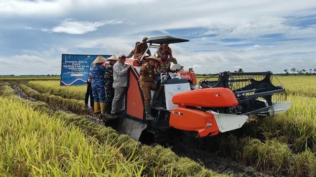 Panen Raya Serentak di 14 Provinsi, Tulang Bawang Siap Jadi Lokomotif Swasembada Pangan Lampung