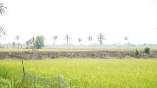 Jelang Musim Tanam April, Petani NTB Nikmati Kemudahan Akses Pupuk Subsidi