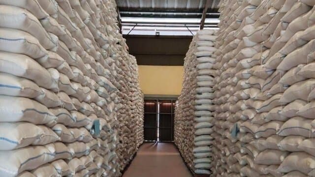 Serapan Beras Lokal Tertinggi Selama 57 Tahun Memberikan Dampak Besar Bagi Pertumbuhan Ekonomi Nasional