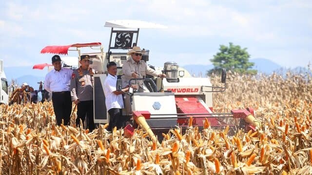 Didampingi Mentan Amran, Presiden Prabowo Pimpin Panen Raya Jagung Di Kalbar