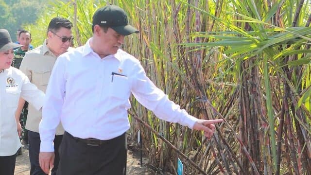 Usai Rakortas Pangan, Mentan : Pupuk ZA Sudah Bisa di Gunakan Petani Tebu Plasma