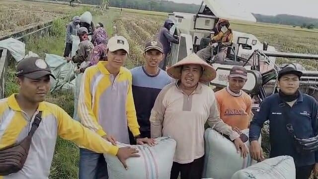 Petani dan Penggilingan Kecil Nikmati Panen dan Harga Menguntungkan