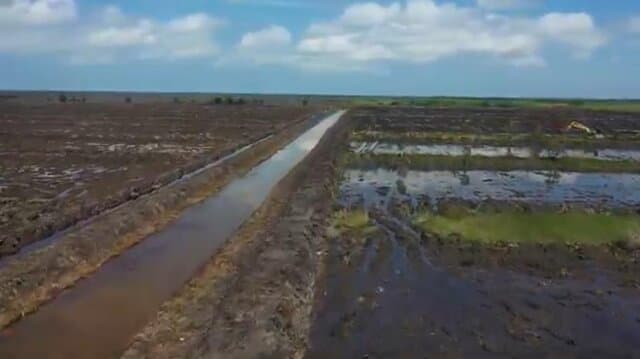 Kementan Perkuat Mekanisasi Pertanian, Sawah Baru Di Tanah Laut Siap Dongkrak Produksi Padi Kalsel