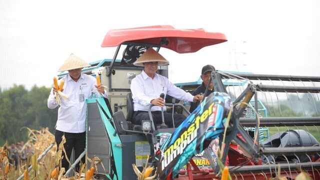 Mentan Amran: Tanam Jagung, Upaya Cegah Kejahatan Sejak di Hulu