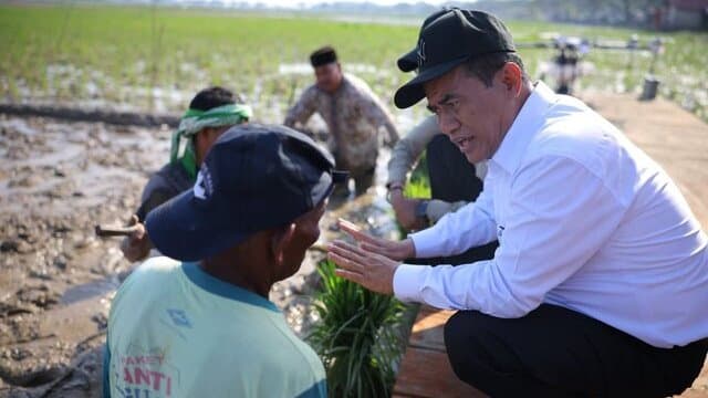 Rehabilitasi 98.000 Hektar Sawah Pascabencana di Sumatra, Mentan Amran: Ini Tanggung Jawab Negara